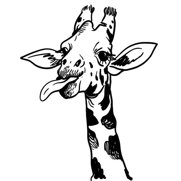 Handgezeichnete Illustration der Giraffe — Stockvektor