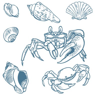 Deniz fauna vektör kümesi