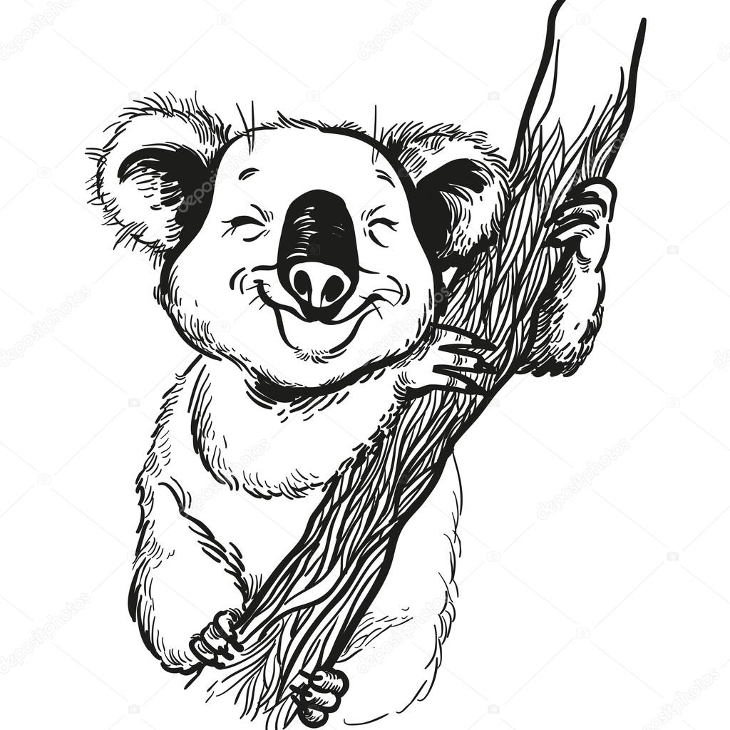 Hand drawn Illustration of  cute koala. vector