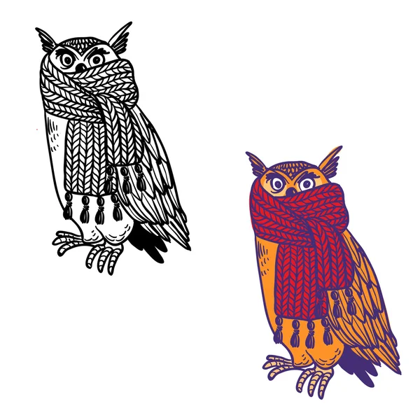 Cute Vector Bright Owls — Stock Vector