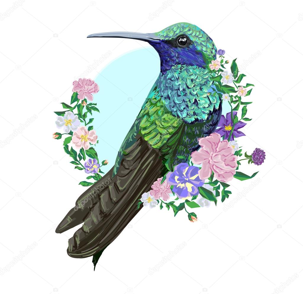 Oiseau Colibri Avec Fleurs Image Vectorielle Alsoush