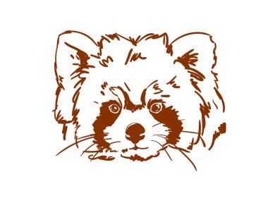 Red Panda Sketch Free Vector Eps Cdr Ai Svg Vector Illustration Graphic Art Red Panda Sketch Free Vector Eps Cdr Ai Svg Vector Illustration Graphic Art
