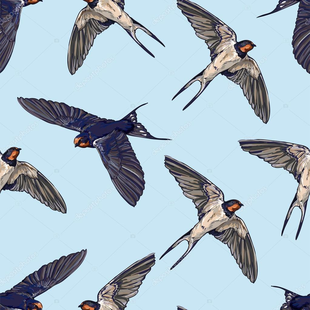 Swallow birds seamless background — Stock Vector © AlsouSh #89363838