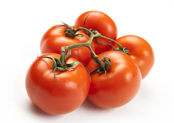 Close-up on tomatoes on branch — Stock Photo, Image