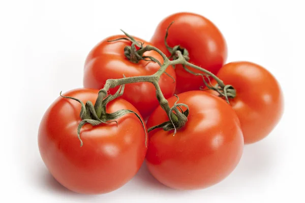 Close-up on tomatoes on branch — Stock Photo, Image