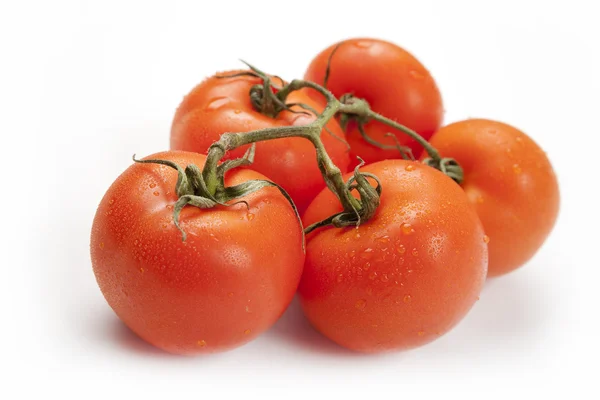 Zbliżenie na pomidory na oddział — Zdjęcie stockowe