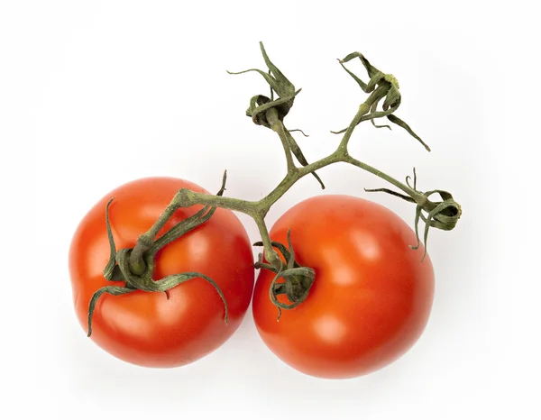 Close-up on tomatoes on branch — Stock Photo, Image