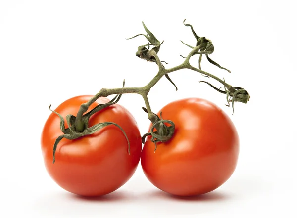 Close-up on tomatoes on branch — Stock Photo, Image