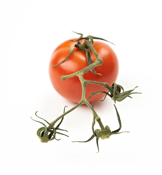 Close-up on tomatoes on branch — Stock Photo, Image