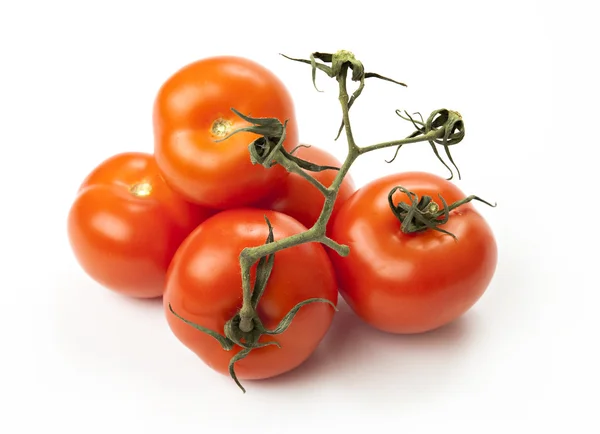 Close-up on tomatoes on branch — Stock Photo, Image