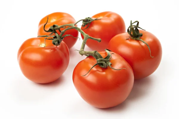 Close-up on tomatoes on branch — Stock Photo, Image