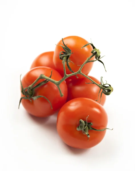 El primer plano sobre los tomates en la rama — Foto de Stock