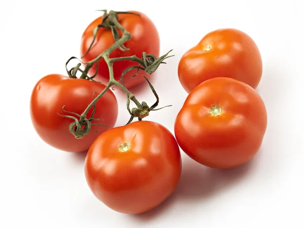 Close-up op tomaten op tak Stockafbeelding