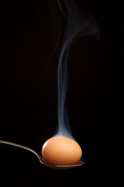Gümüş kaşık duman kahverengi yumurta sarılı