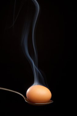 Gümüş kaşık duman kahverengi yumurta sarılı
