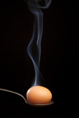 Gümüş kaşık duman kahverengi yumurta sarılı