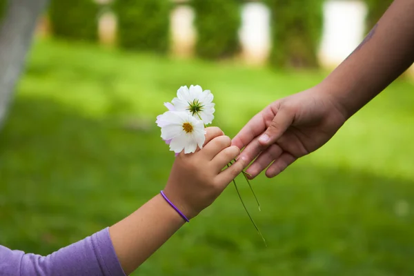 La mano del niño dando flores a su amiga —  Fotos de Stock