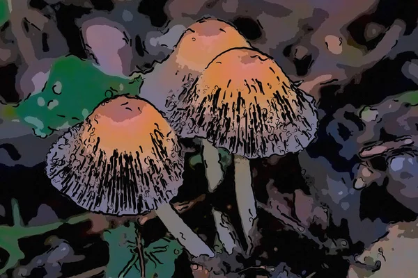 Ilustração Gráfica Três Cogumelos Selvagens Dentro Uma Madeira — Fotografia de Stock