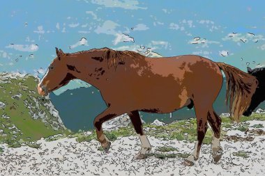 Otlayan bir atın grafik çizimi