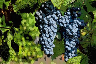 Bir kırmızı demet iki grafik illüstrasyon