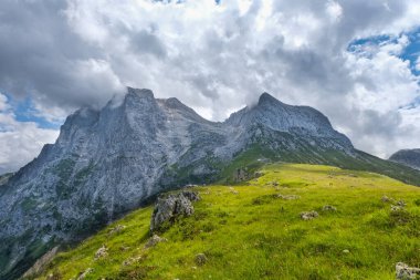 İtalya 'nın büyük taşının büyük boynuzu.