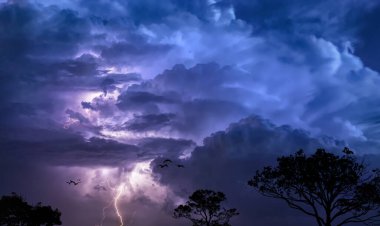 Yıldırımlar ve ağaçlarla dolu gök gürültülü ve erken dindar
