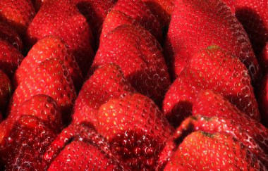 Yakın plan kırmızı çilekler dizilmiş.