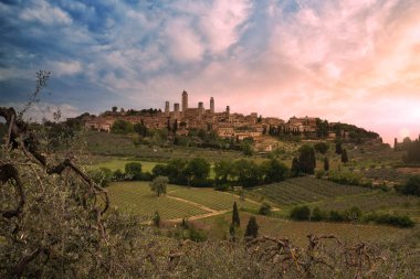Yeşil Toskana üzüm bağlarıyla çevrili ortaçağ kasabası San Gimignano