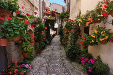 Spello umbria 'nın ortaçağ kasabasındaki çiçekli sokak.
