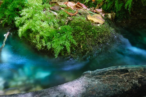 Malý Vodní Tok Alento River Park Abruzzo — Stock fotografie