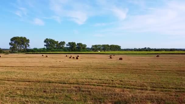 Voo de drone aeronáutico sobre campo de trigo com fardos de palha rick — Vídeo de Stock