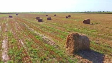Rick saman balyalarıyla buğday tarlası üzerinde uçan bir hava aracı.