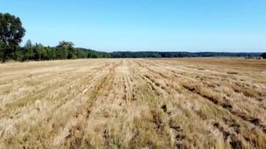 Aero kuş manzaralı arazi dronu