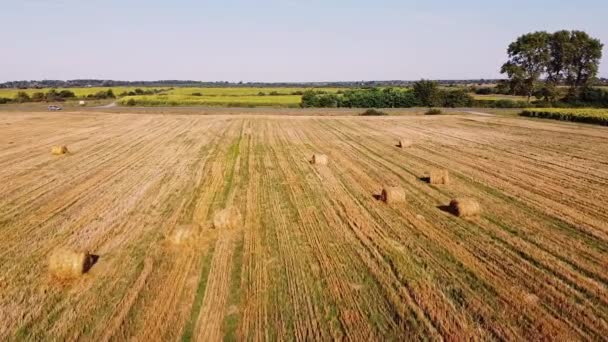 Voo de drone aeronáutico sobre campo de trigo com fardos de palha rick — Vídeo de Stock