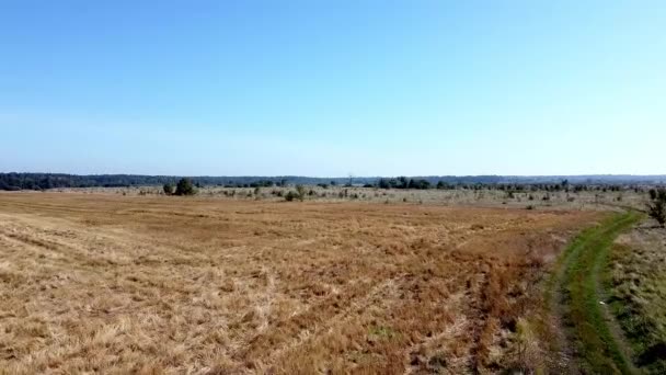 Aero kuş manzaralı arazi dronu — Stok video