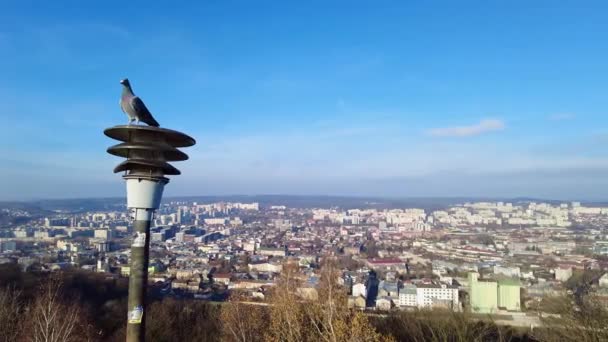 Lviv város. Ukrajnában. Régi európai város — Stock videók