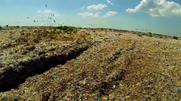 Vertedero de basura — Vídeos de Stock