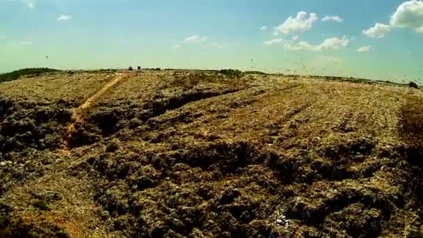 Vertedero de basura — Vídeos de Stock