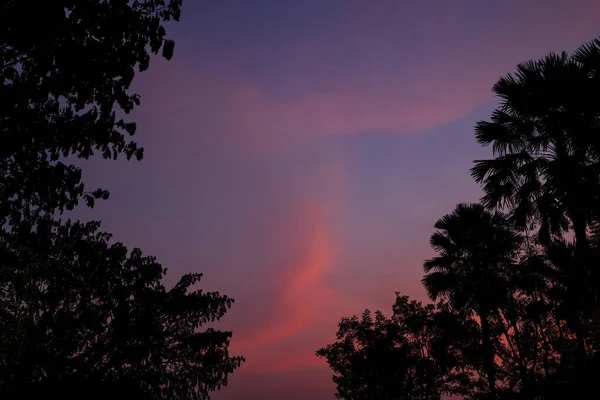 Céu Crepúsculo Bonito Com Árvores Silhueta — Fotografia de Stock