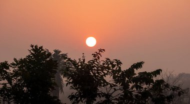 Siluet ağaçlarının üzerinde, sisli ve başbakan 2.5 'lu güzel bir sabah güneşi. 