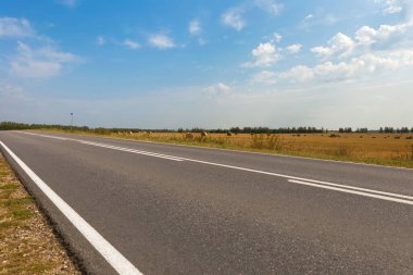 Güneşli bir sonbahar gününde saman rulolarının olduğu otoban boyunca.