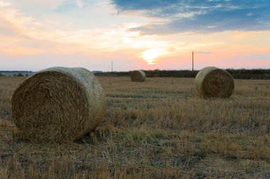 Gün batımında, eğimli bir tarlada saman ruloları. Sonbahar manzarası.