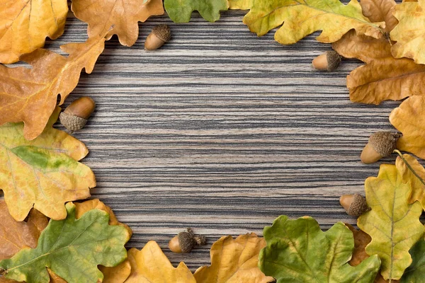 Autumn frame made of oak leaves and acorns on a textured striped wooden surface.