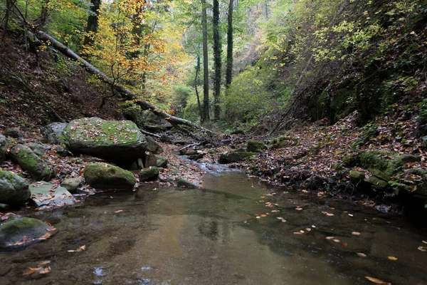 Ein Bach Einer Engen Bewaldeten Bergschlucht Einem Herbstlichen Wald — Stockfoto