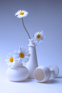 Mavi hayat, iki vazo, bir şarap kadehi ve papatya çiçeğiyle.