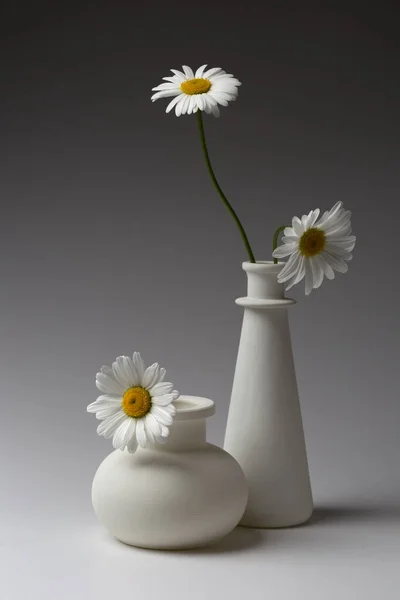 白色的生命依旧 有两个花瓶和一朵菊花 — 图库照片