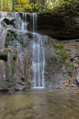 Sonbahar ormanındaki şelale dağ yamacında.