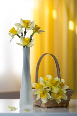 Cam vazoda sarı nergisler ve pencereye karşı bir sepet. Durgun hayat.