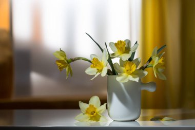 Pencereye dayanmış beyaz bardakta sarı nergislerle dolu bir hayat.