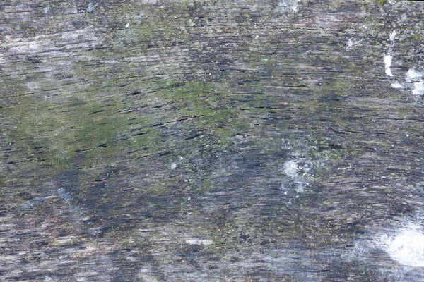 鳥の糞や苔のスポット クローズアップと古い穿孔板の灰色の表面 — ストック写真
